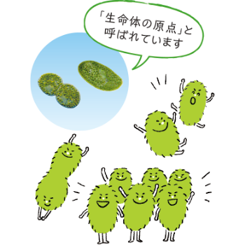 生命体の原点と呼ばれています。