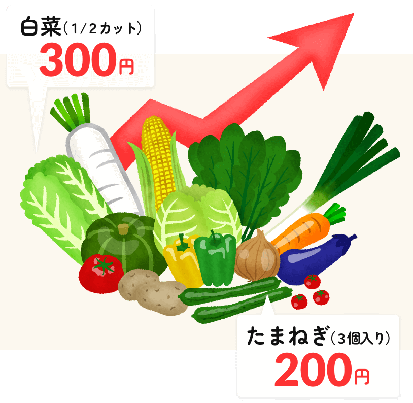 白菜（1/2カット）300円 玉ねぎ（3個入）200円）